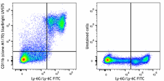 StarBright UltraViolet 575 anti-mouse/human CD11b Antibody (101264)