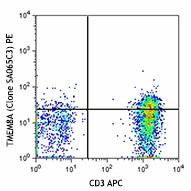 PE anti-human TMEM8A Antibody (370805)