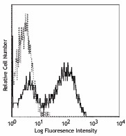 FITC anti-mouse I-Ab (Aβb) Antibody (114406)