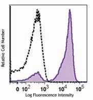 PE anti-TRIM Antibody (627203)