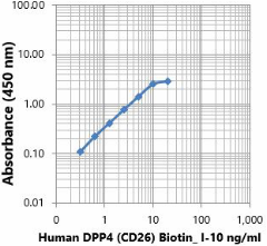 Biotin anti-human CD26 (DPP4) Antibody
