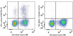 PE anti-mouse IFN-γ Antibody (163503)