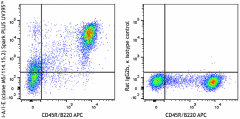 Spark PLUS UV395™ anti-mouse I-A/I-E Antibody (107679)