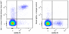 Brilliant Violet 650™ anti-mouse NK-1.1 Antibody (156543)