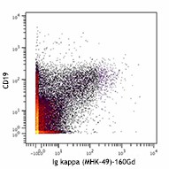 Purified anti-human Ig light chain κ (Maxpar® Ready) Antibody (316527)