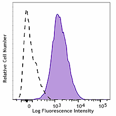 PE anti-human CD119 (IFN-γ R α chain) Antibody (308606)