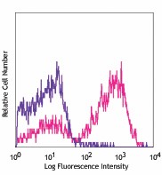 PE/Cyanine7 anti-mouse I-Ab Antibody (116419)