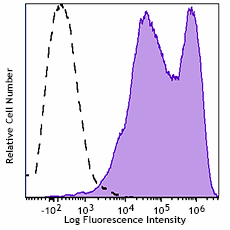 PE/Fire™ 640 anti-mouse CD25 Antibody (102071)