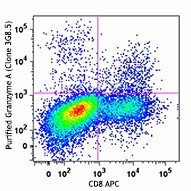 Purified anti-mouse Granzyme A Antibody (149702)