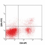 FITC anti-mouse/human Helios Antibody (137204)