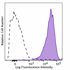 PE/Fire™ 744 anti-mouse CD86 Antibody (105065)