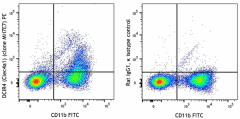 PE anti-mouse DCIR4 (Clec4a1) Antibody (162003)
