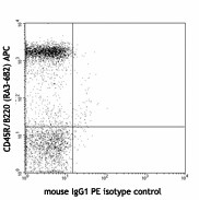 PE anti-mouse CD66a (CEACAM1a) Antibody (134505)