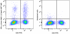 Spark NIR™ 685 anti-mouse IFN-γ Antibody (505861)