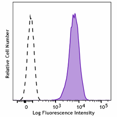 Purified anti-human CD171 (L1CAM) Antibody (318209)