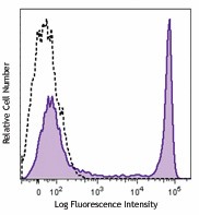PE anti-marmoset CD8 Antibody (250304)