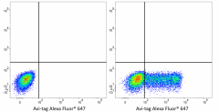 Alexa Fluor® 647 anti-Avi-tag Antibody (606759)