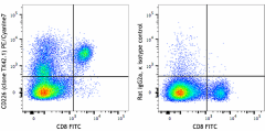 PE/Cyanine7 anti-mouse CD226 (DNAM-1) Antibody (133625)