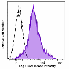 Pacific Blue™ anti-mouse CD11a/CD18 (LFA-1) Antibody (141013)