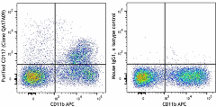 Purified anti-mouse CD117 (c-kit) Recombinant Antibody (155102)