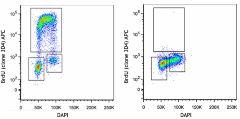 APC anti-BrdU Antibody (364113)