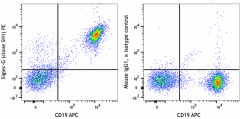 PE anti-mouse Siglec-G Antibody (163303)