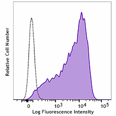 Purified anti-human CD90 (Thy1) Antibody (389802)