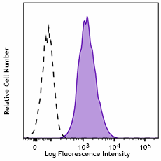 FITC anti-human CD80 Antibody (375405)