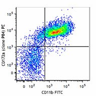 PE anti-mouse CD172a (SIRPα) Antibody (144011)