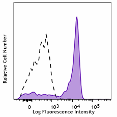 APC/Cyanine7 anti-human CD192 (CCR2) Antibody (357219)