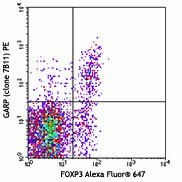 PE anti-human GARP (LRRC32) Antibody (352503)