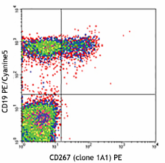 PE anti-human CD267 (TACI) Antibody (311906)