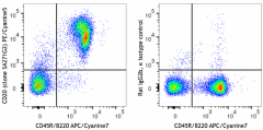 PE/Cyanine5 anti-mouse CD20 Antibody (152113)