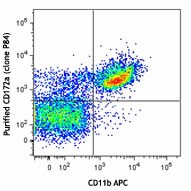 Purified anti-mouse CD172a (SIRPα) Antibody (144001)