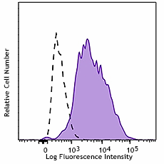 Brilliant Violet 510™ anti-mouse CD107a (LAMP-1) Antibody (121629)