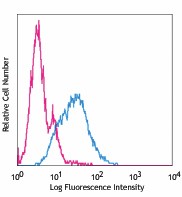 PE anti-human CD344 (Frizzled-4) Antibody (326605)