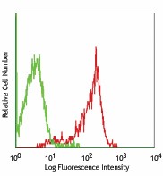 FITC anti-rat Myeloid Lineage Antibody (205103)