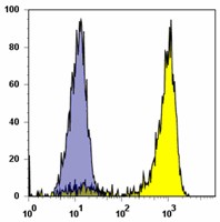 PE anti-human CD172b (SIRPβ) Antibody (323906)