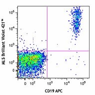Brilliant Violet 421™ anti-human CD24 Antibody (311121)