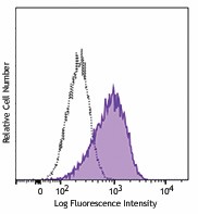 Purified anti-mouse CD191 (CCR1) Antibody (152502)
