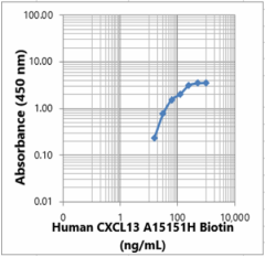 Biotin anti-human CXCL13 Antibody