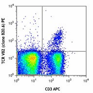 PE anti-mouse TCR Vβ2 Antibody (127907)