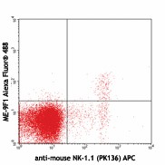 Alexa Fluor® 488 anti-mouse CD146 Antibody (134707)