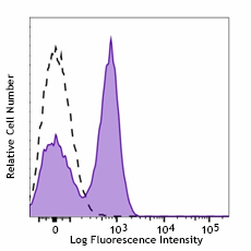 APC/Cyanine7 anti-mouse CD40 Antibody (124637)