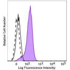 Alexa Fluor® 647 anti-Olig2 Antibody (615953)
