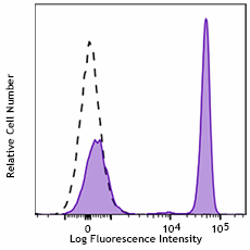 Spark Violet™ 538 anti-human CD4 Antibody (344673)
