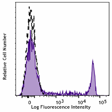 PerCP/Cyanine5.5 anti-human CD8 (980918)
