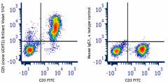 Brilliant Violet 510™ anti-human CD5 Antibody (300649)