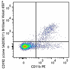Brilliant Violet 650™ anti-mouse CD192 (CCR2) Antibody (150613)
