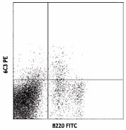 Biotin anti-mouse Ly-51 Antibody (108303)